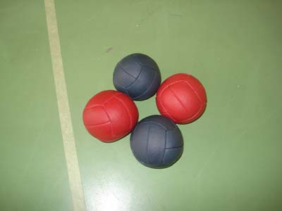 II ZAWODY BOCCI 12marca 2011 (82)